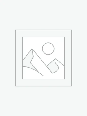 DAPS Grande Series 12.3" DSP Android Stereo – LTE SIM, 3D 360° Camera (4GB/64GB)